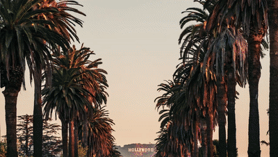 Your-project-#2_1280x720